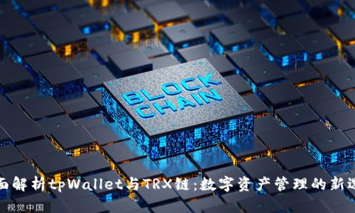 全面解析tpWallet与TRX链：数字资产管理的新选择