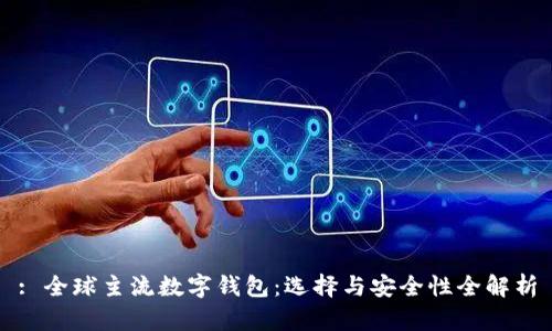 : 全球主流数字钱包：选择与安全性全解析