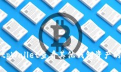 如何使用tpWallet查看其他钱
