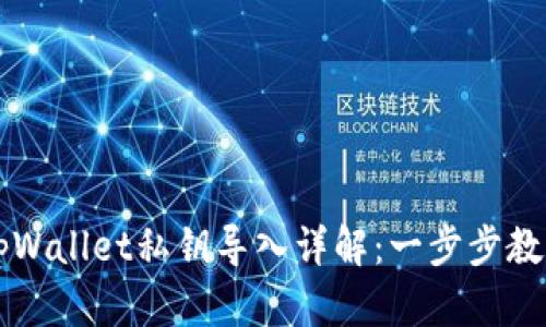 新下载的tpWallet私钥导入详解：一步步教你轻松操作