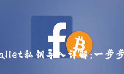 新下载的tpWallet私钥导入详解：一步步教你轻松操作