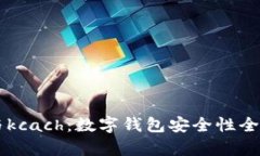 tpWallet与kcach：数字钱包安