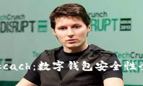 tpWallet与kcach：数字钱包安全性全面对比分析