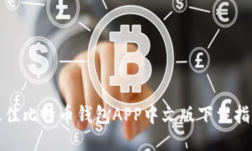 最佳比特币钱包APP中文版下载指南