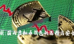全面解析：国内虚拟币钱