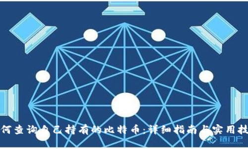 如何查询自己持有的比特币：详细指南与实用技巧