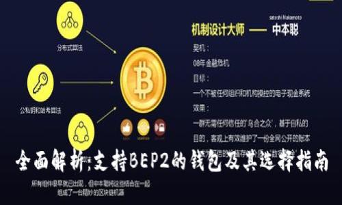 全面解析：支持BEP2的钱包及其选择指南