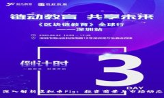 深入解析虚拟币Pig: 投资前