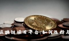 全面解析区块链项目平台