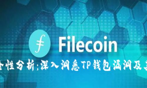 TP钱包安全性分析：深入洞悉TP钱包漏洞及其保护措施
