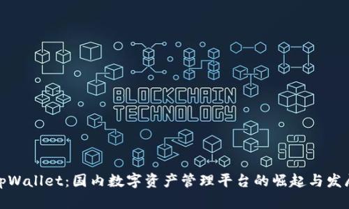 tpWallet：国内数字资产管理平台的崛起与发展