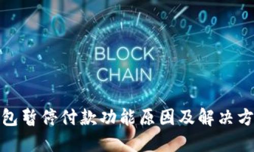 数字钱包暂停付款功能原因及解决方案详解