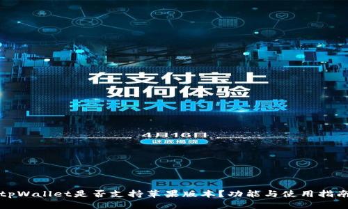 tpWallet是否支持苹果版本？功能与使用指南