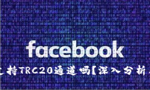 tpWallet支持TRC20通道吗?深入分析与使用指南