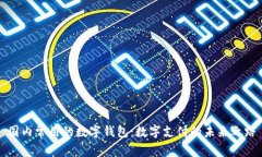 国内常用的数字钱包：数