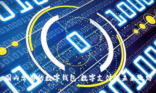 国内常用的数字钱包:数字支付的未来之路