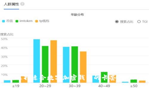 如何选择适合数字加密钱包的卡套:全面指南