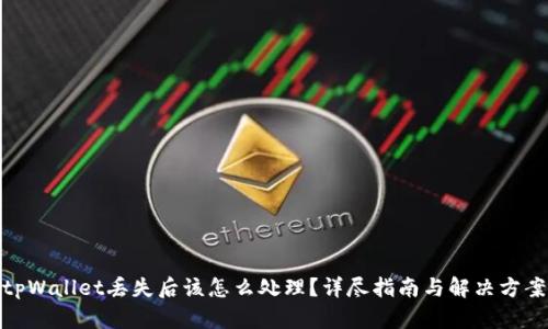 tpWallet丢失后该怎么处理?详尽指南与解决方案