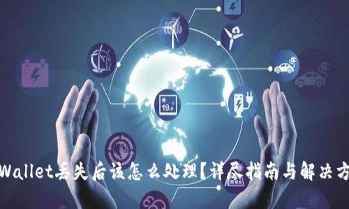 tpWallet丢失后该怎么处理?详尽指南与解决方案