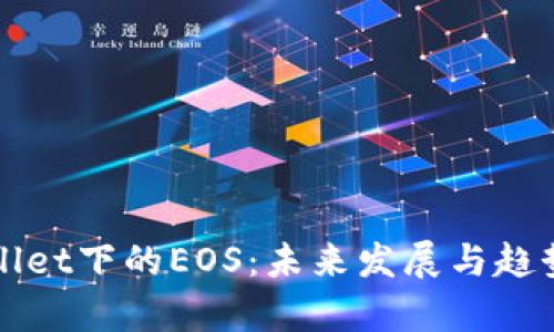 tpWallet下的EOS：未来发展与趋势分析