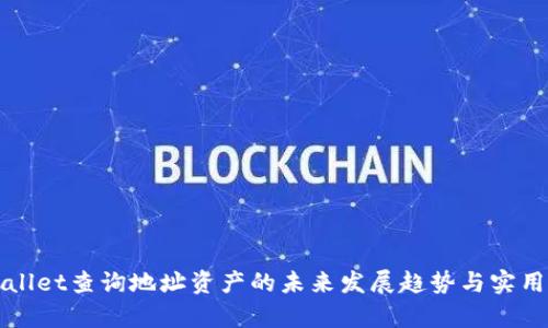 tpWallet查询地址资产的未来发展趋势与实用指南