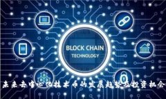 未来去中心化技术币的发