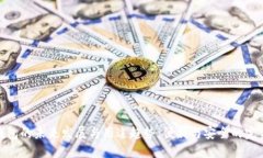 数字钱包的未来发展与用