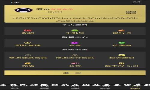 加密货币钱包被冻结的原因及未来发展趋势分析