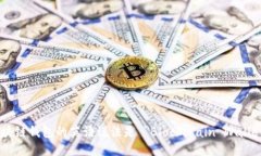 区块链钱包的英语说法是