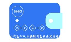 tpWallet钱包CEO：区块链钱包