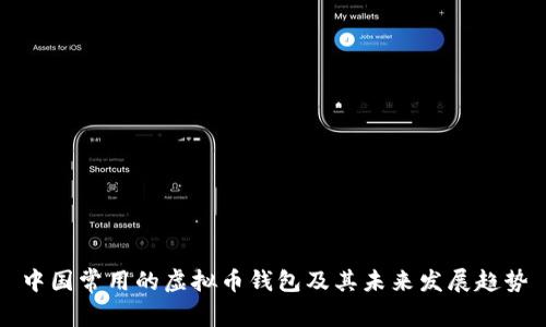 中国常用的虚拟币钱包及其未来发展趋势