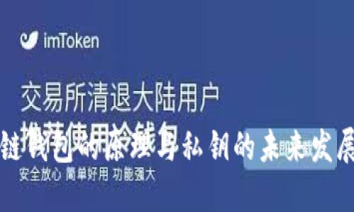 区块链钱包的原理与私钥的未来发展趋势