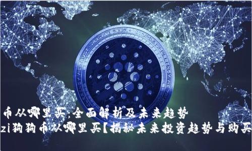 狗狗币从哪里买：全面解析及未来趋势
biaozi狗狗币从哪里买？揭秘未来投资趋势与购买途径