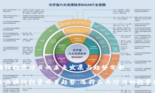 区块链投资项目的未来发展与趋势分析

未来区块链投资项目趋势：选择最具潜力的投资路径