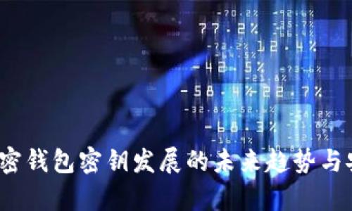 2024年加密钱包密钥发展的未来趋势与安全性分析