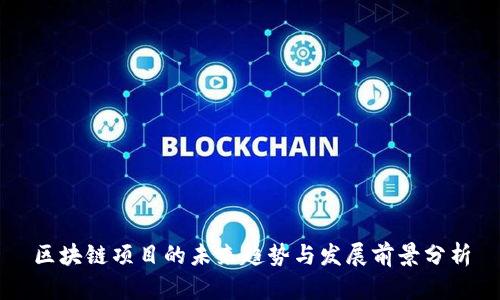 区块链项目的未来趋势与发展前景分析