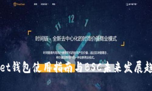 tpWallet钱包使用指南与BSC未来发展趋势解析