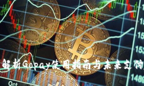全面解析Gopay使用指南与未来支付趋势