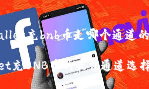 ### 关于tpWallet充bnb币走哪个通道的详细介绍

#### tpWallet充BNB币的最佳通道选择及未来发展趋势