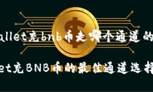 ### 关于tpWallet充bnb币走哪个通道的详细介绍

#### tpWallet充BNB币的最佳通道选择及未来发展趋势
