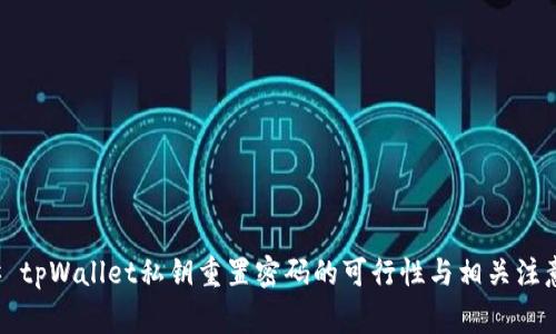 ### tpWallet私钥重置密码的可行性与相关注意事项