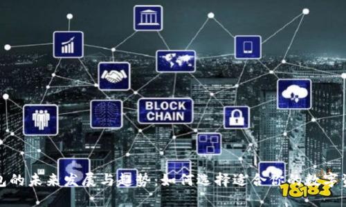 数字加密钱包的未来发展与趋势：如何选择适合你的数字资产管理工具