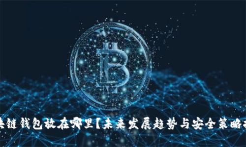 区块链钱包放在哪里？未来发展趋势与安全策略探讨
