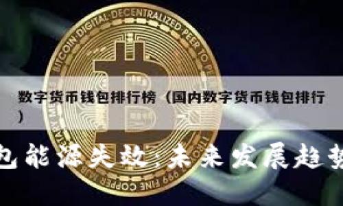 加密货币钱包能源失效：未来发展趋势及处理方法
