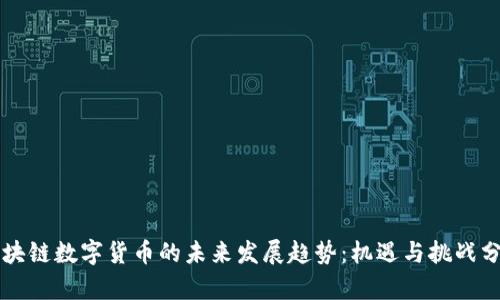 区块链数字货币的未来发展趋势：机遇与挑战分析
