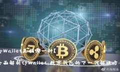 tpWallet是指哪一种？全面解