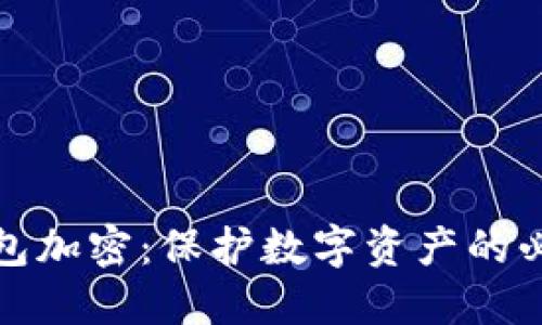 电子钱包加密：保护数字资产的必备措施