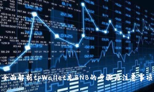 全面解析tpWallet充BNB的步骤与注意事项