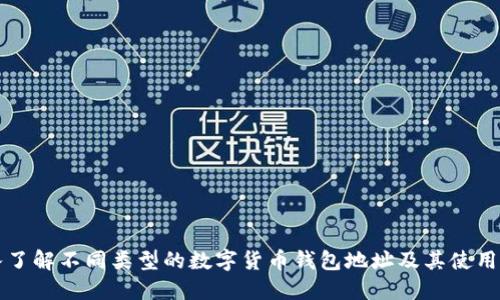 深入了解不同类型的数字货币钱包地址及其使用指南