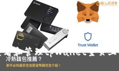如何查看和管理tpWallet主页上的余额